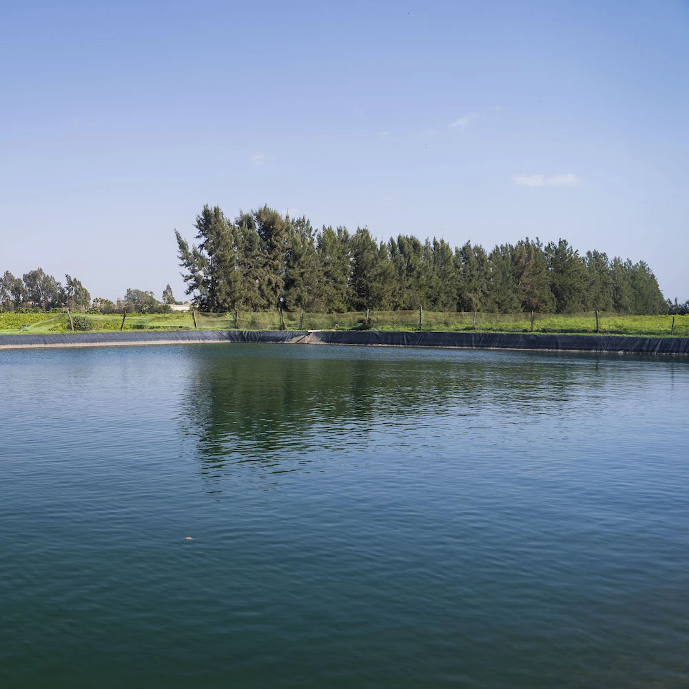 Amensouss et Sebt El Guerdane : Pionniers de l'Hydrodéveloppement Durable au Maroc